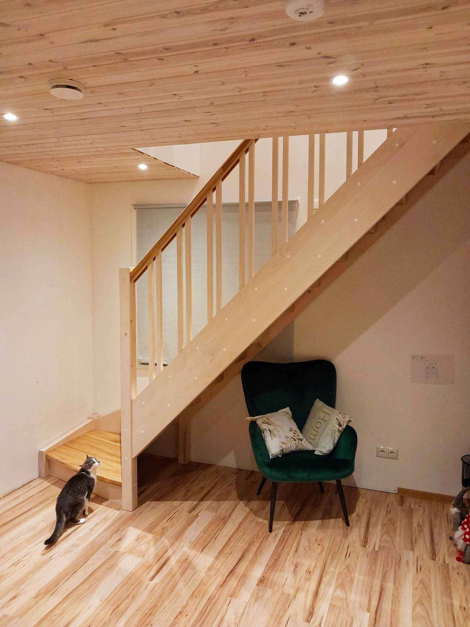 Lihtne trepp kiilastmetega. Saar + kask